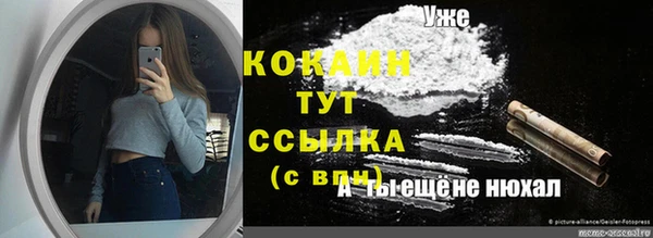 мет Лагань