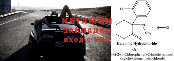 хмурый Белая Холуница
