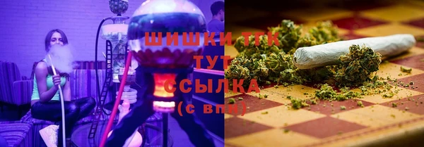 PSILOCYBIN Вязьма